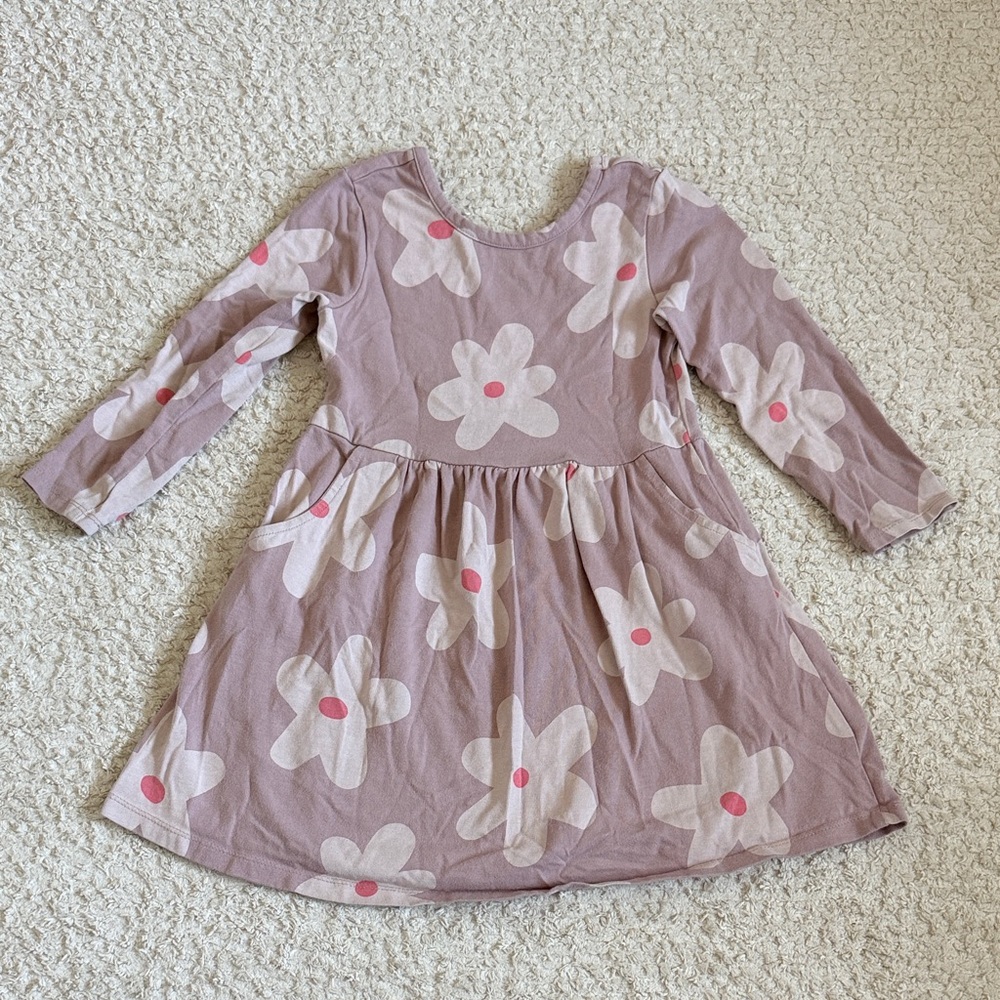 GAP Organic Cotton Mauve Pink Floral Skater Swing Play Dress